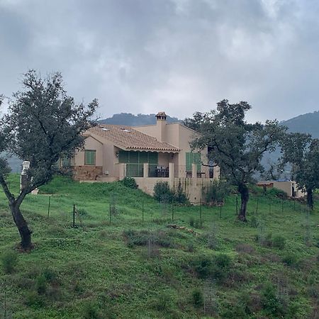 Alojamiento Rural En Aracena. Finca El Rehilete Exteriör bild